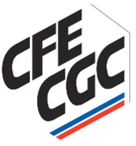 logo partenaire Domaine de Sainte Croix Vacances Leo Lagrange cfecfc